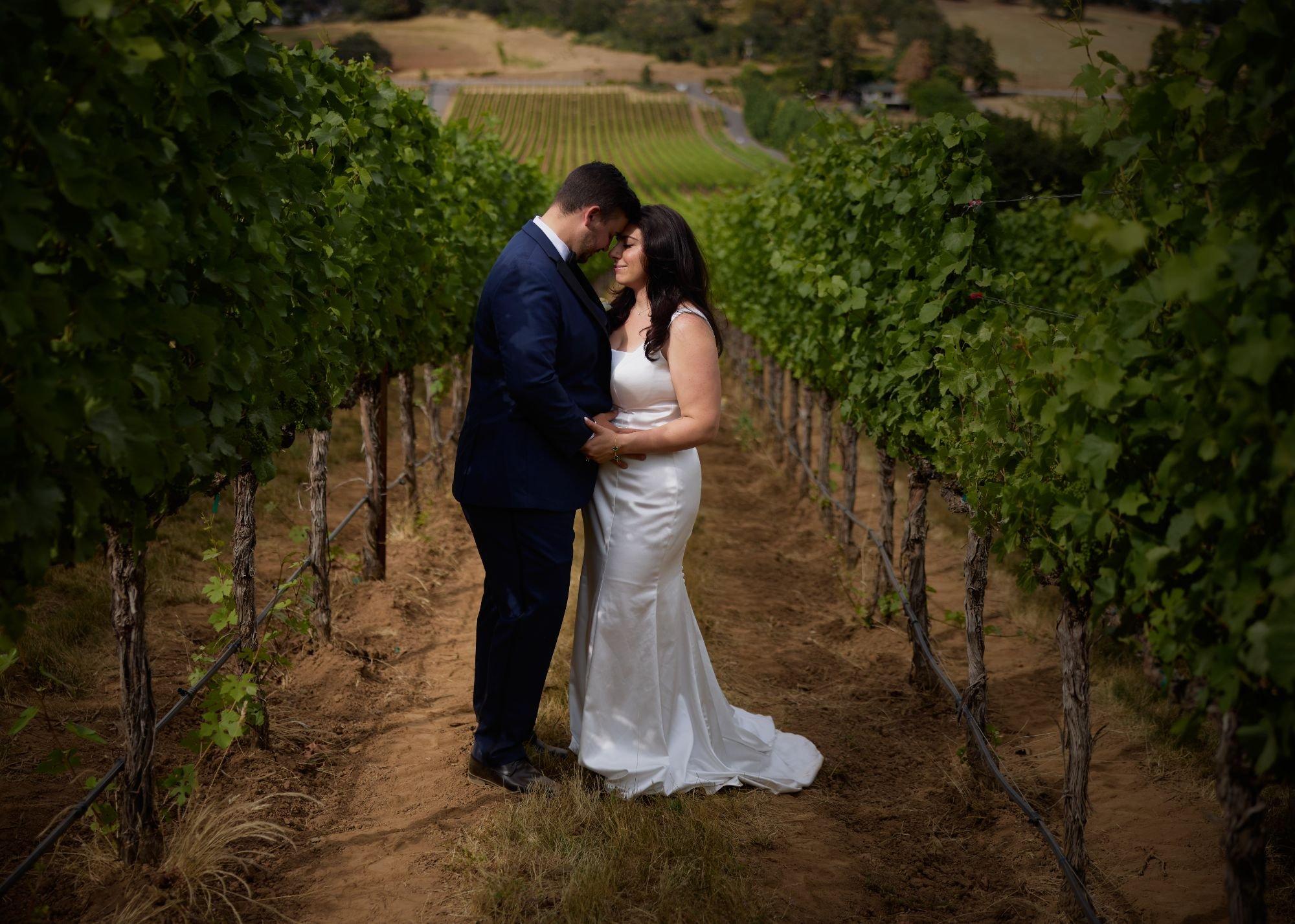 carousel-hero-element image-2